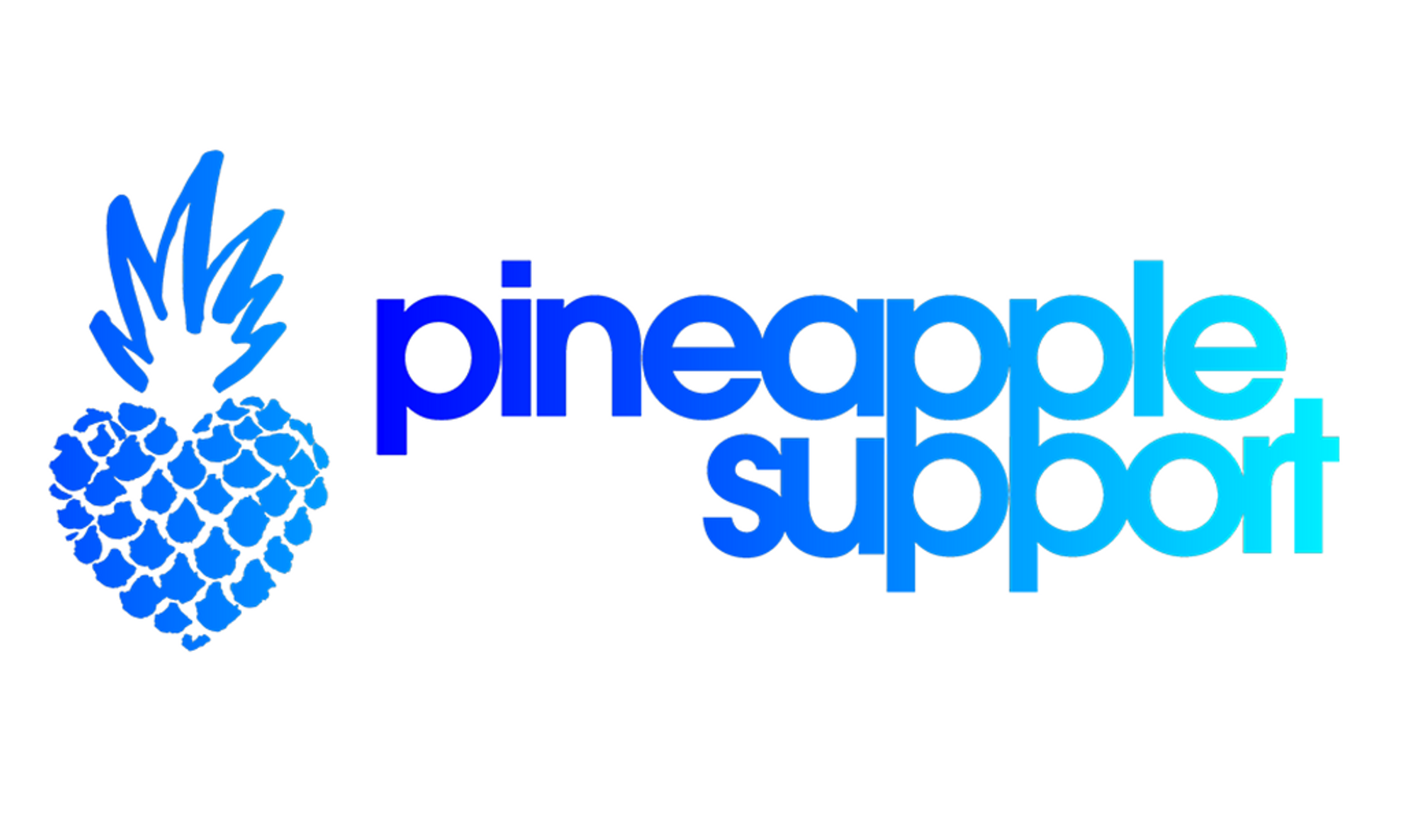 Pineapple Support to Host Ongoing Group on Ukrainian Conflict