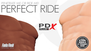 PDX Brands Debuts 'Perfect Ride' Poseable Torso