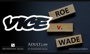 Corey Silverstein Shares Post-Roe v. Wade Insights With Vice