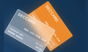 Segpay Introduces New Payment Solution 'Segcard'