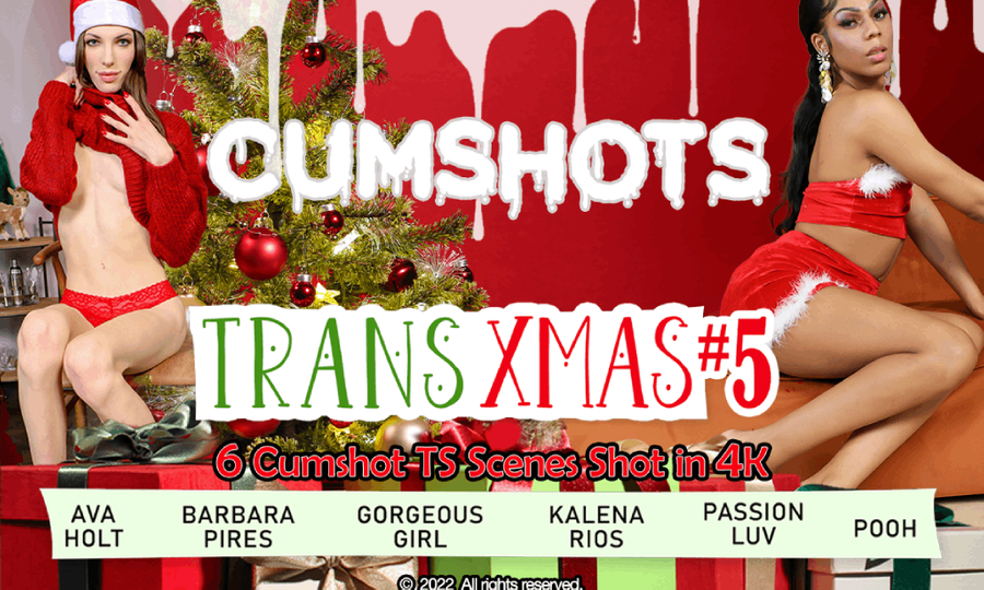 Grooby Releases Holiday-Themed 'Cumshots Trans Xmas 5'