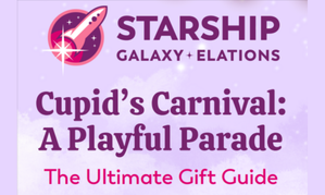 ShopStarship.com Bows Valentine's Gift Guide, Affiliate Program