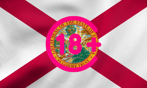 Florida Republicans Introduce Age Verification Legislation