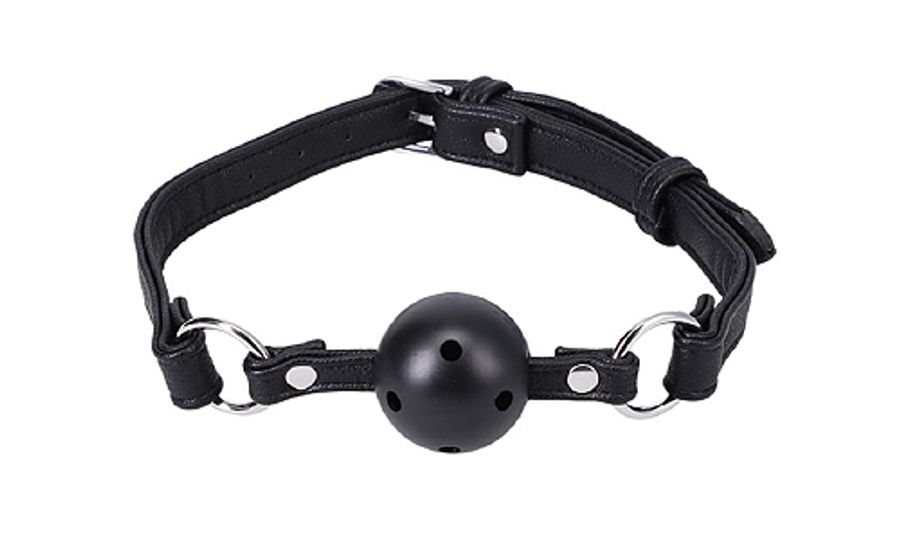 Ball Gag in a Bag