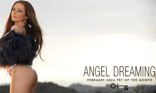 Penthouse Announces Angel Dreaming as February Pet of the Month