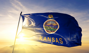 Kansas Lawmakers Consider Anti-Porn Age Verification Bills