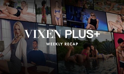 Vixen Media Group Features Coco Lovelock, Alex Grey, Others