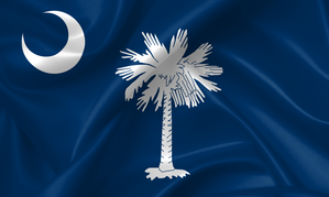 South Carolina Senate Poised to Adopt Age Verification Bill