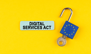 Pornhub, Stripchat & XVideos Approaching EU DSA Compliance Dates