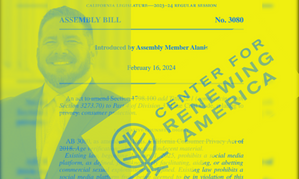 Analysis: Calif. AV Bill Would Penalize 'Indecency'