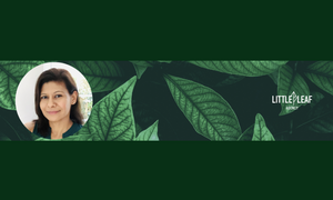 Little Leaf Agency Welcomes COO Nina Saini to Team