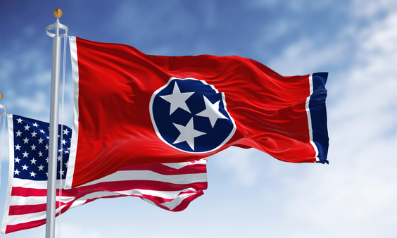 Tennessee AV Bill With Felony Charges Passes House