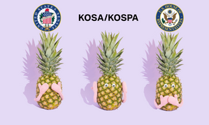 New CRS Report Characterizes KOSPA as an Age Verification Bill