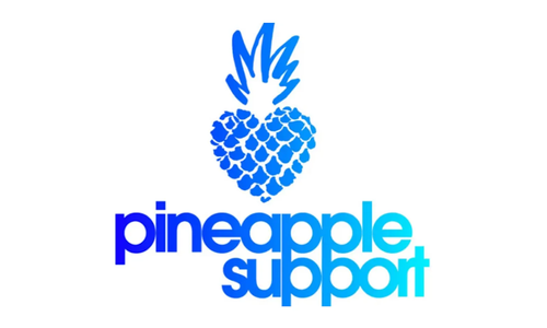 Pineapple Support to Host Communication Skills Support Group