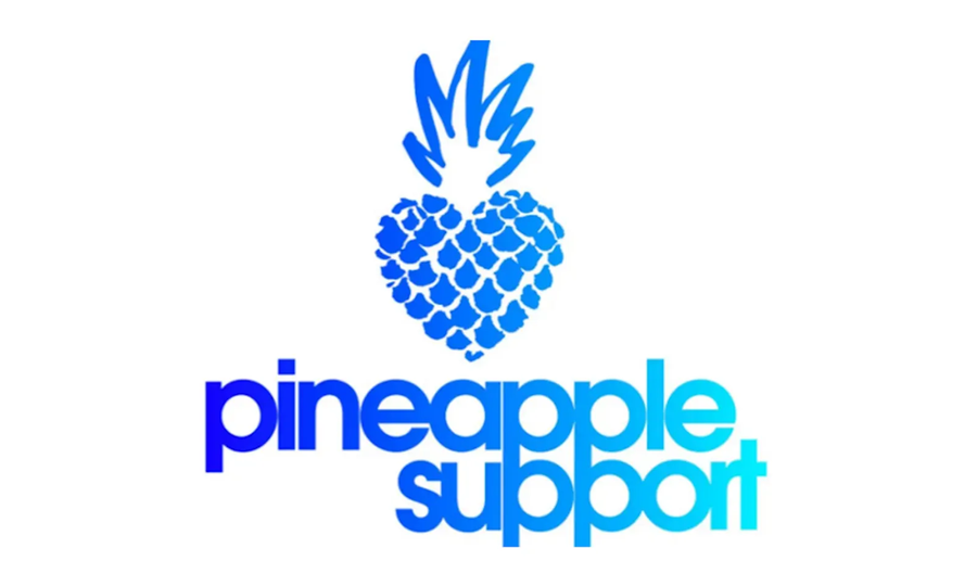 Pineapple Support to Host Communication Skills Support Group