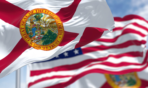 Tech Trade Groups Sue Florida Over Age Verification Law