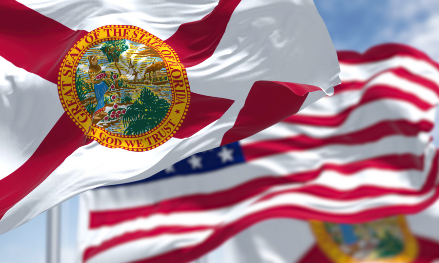 Tech Trade Groups Sue Florida Over Age Verification Law