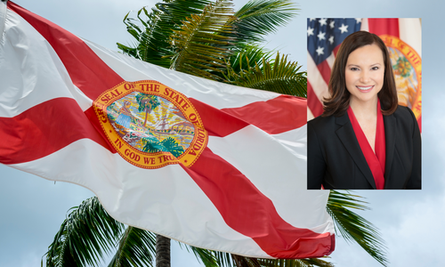 Florida AG Asks Judge to Halt AV Lawsuit Pending SCOTUS Outcome