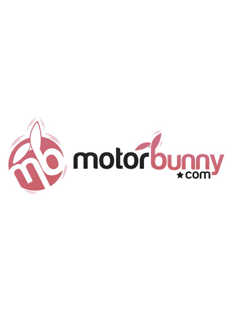 Motorbunny