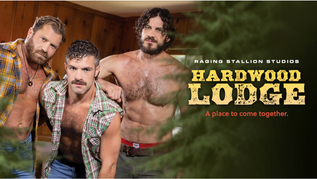 Raging Stallion Rolls Out 'Hardwood Lodge'