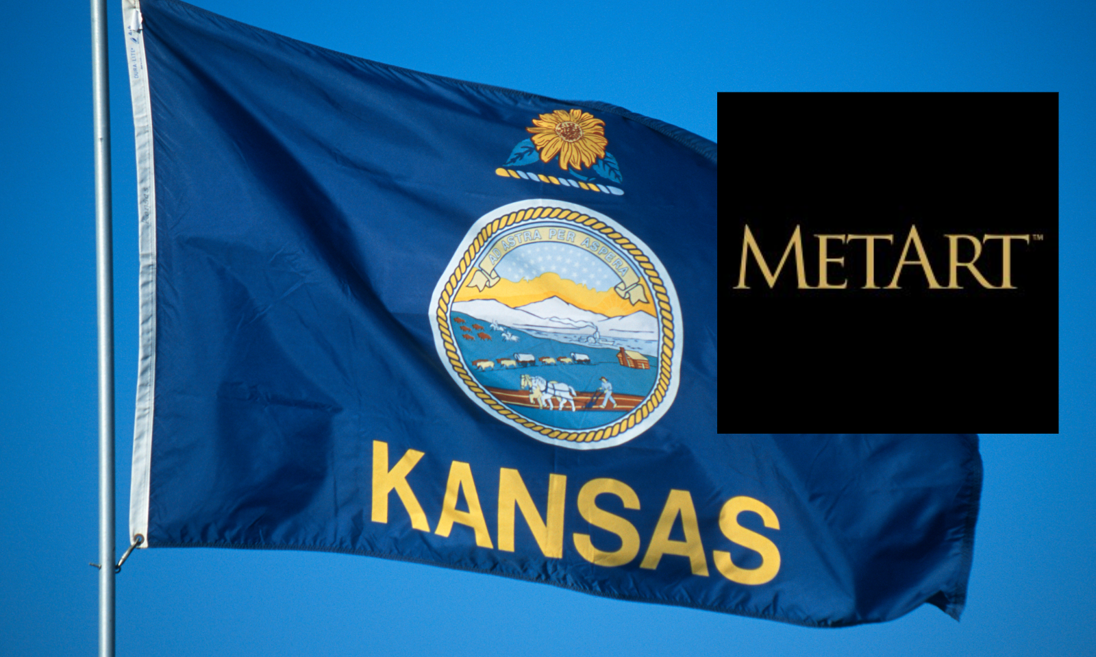 Kansas Attorney General Sues Parent Company of Adult Paysites