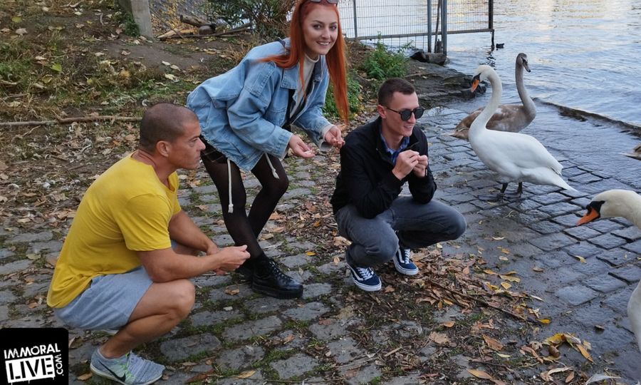 'Rescued From Angry Swans,' Katy Rose Does First DVP for Immoral