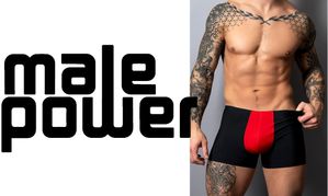 Male Power Intros the Hot Mesh Men’s Underwear Collection