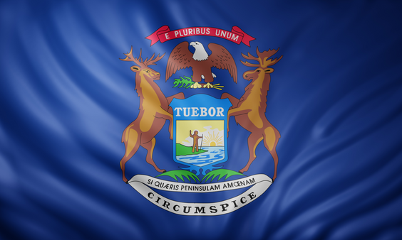 Michigan Lawmakers Introduce Bipartisan Age Verification Bill