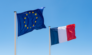 Paris Administrative Court Temporarily Blocks French AV Law