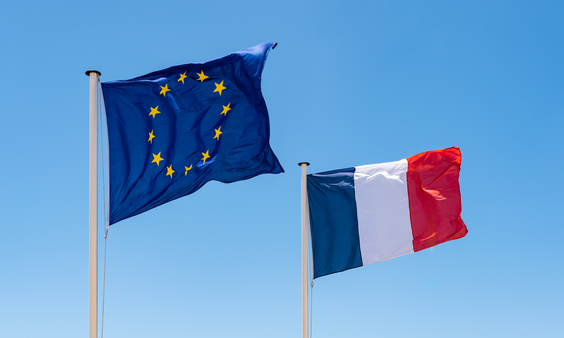 Paris Administrative Court Temporarily Blocks French AV Law