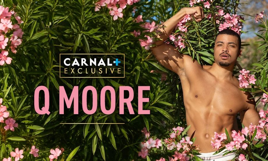 Carnal Media Signs Newcomer Q Moore as Latest Exclusive Model