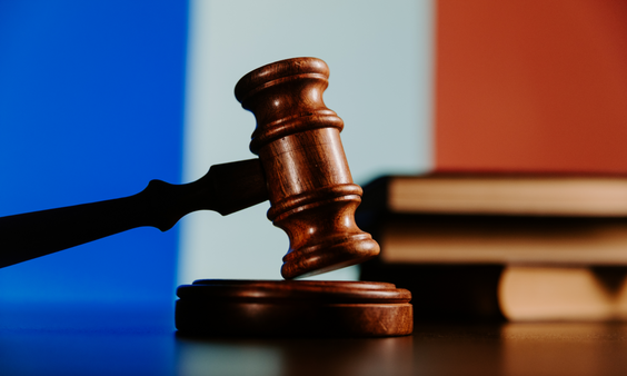 French Gov't Appeals Court Ruling Blocking Age Verification Law