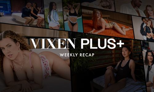 Vixen Media Group Features Marina Gold, Jessie Rogers, Others