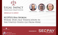 Corey D. Silverstein's Latest Legal Impact Webinar Now Streaming