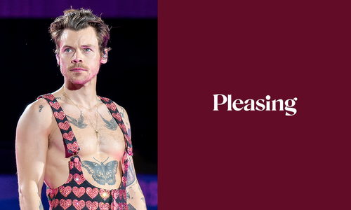 Harry Styles to Sell Sex Products Under Pleasing Banner
