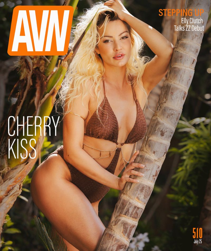 AVN Magazine July 2025