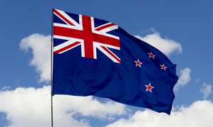 N.Z. Excludes Adult From New Business Investor Visa