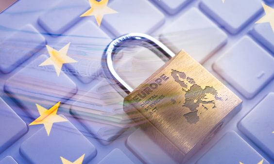 E.U. to Study How Adult Tube Sites Respond to Illegal Content