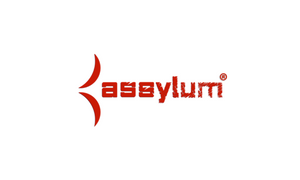 Assylum.com Announces Latest Age Verification System