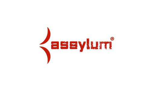 Assylum.com Announces Latest Age Verification System