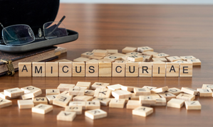 NGOs File Amicus Brief Supporting NetChoice SCOTUS Case