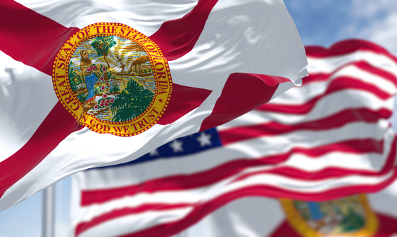Florida AG Sues Owners of Adult Sites for AV Law Violations