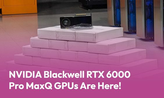 MojoHost Launches NVIDIA RTX Pro 6000 MaxQ Blackwell GPU Hosting