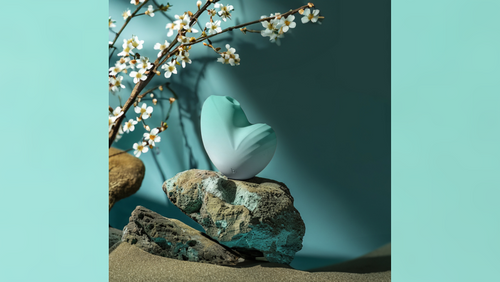Biird Introduces Namii 2