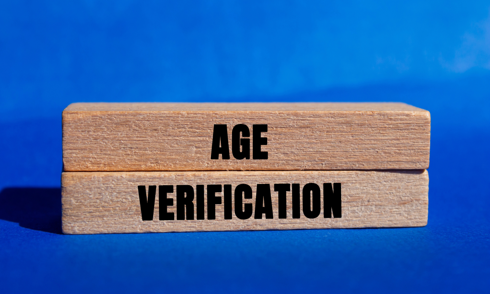 New York Proposes Age Verification Regulations on Social Media