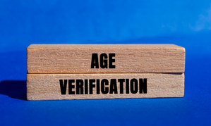New York Proposes Age Verification Regulations on Social Media