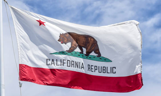 California Governor Adopts Device-Level Age Verification Law