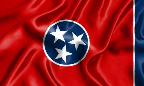 Sixth Circuit Allows Tennessee to Enforce Age Verification Law