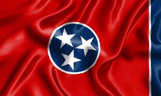 Sixth Circuit Allows Tennessee to Enforce Age Verification Law