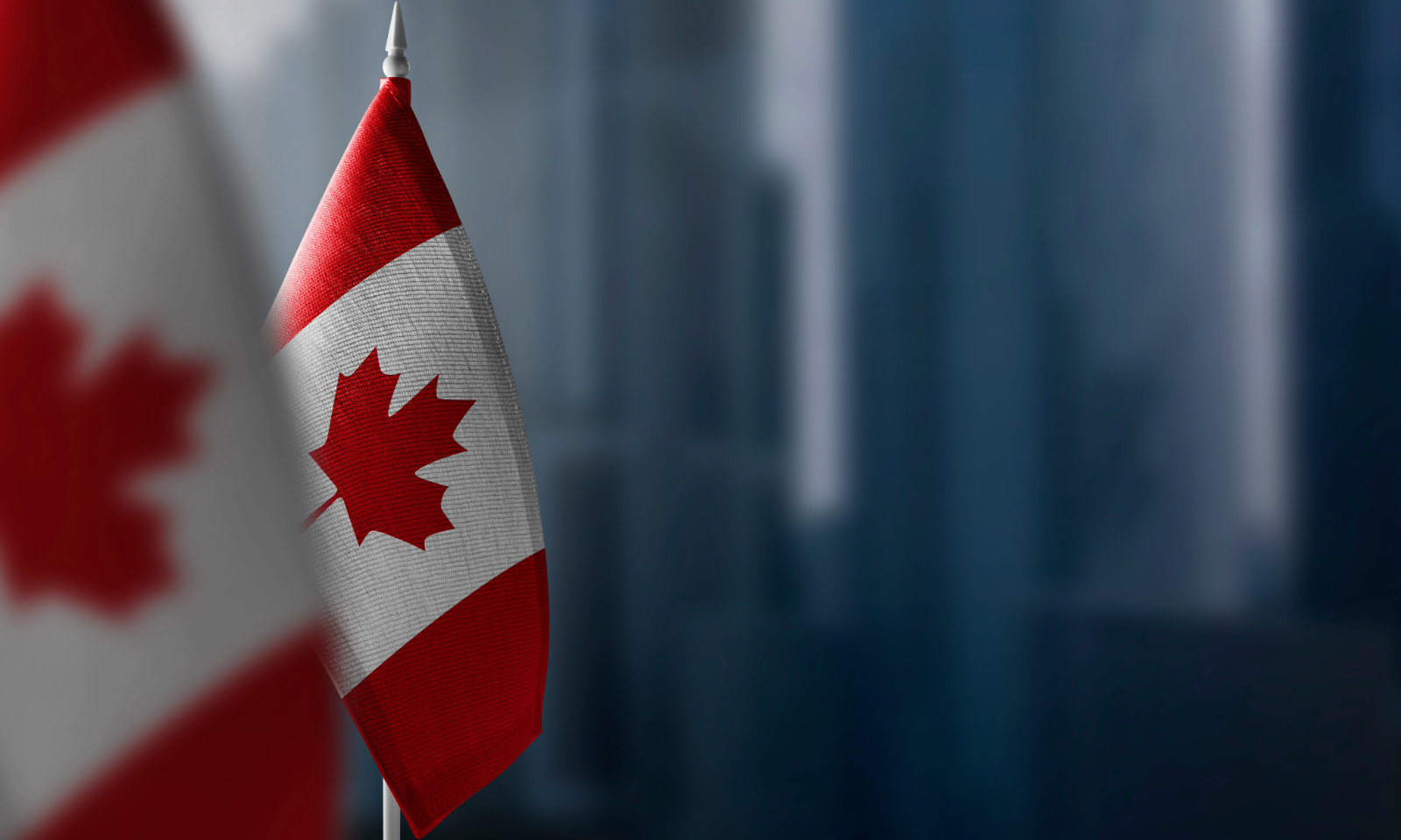 'Adult Programming' Exempt From Canadian Content Quotas